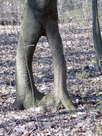 anders bild1