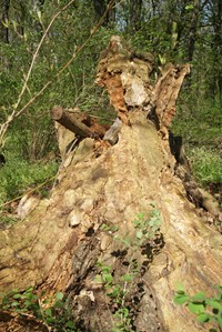 gruhn bild7