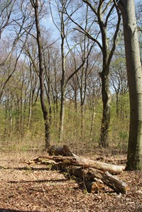 gruhn bild9