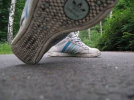 hensel bild4