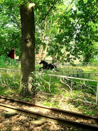 kaempfe bild1