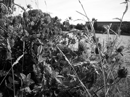 klinder bild8