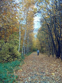 petzold bild4